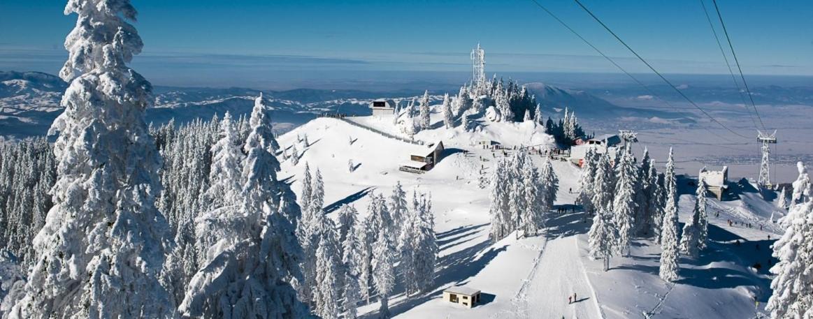 Panoramic Residence Zărneşti Eksteriør billede