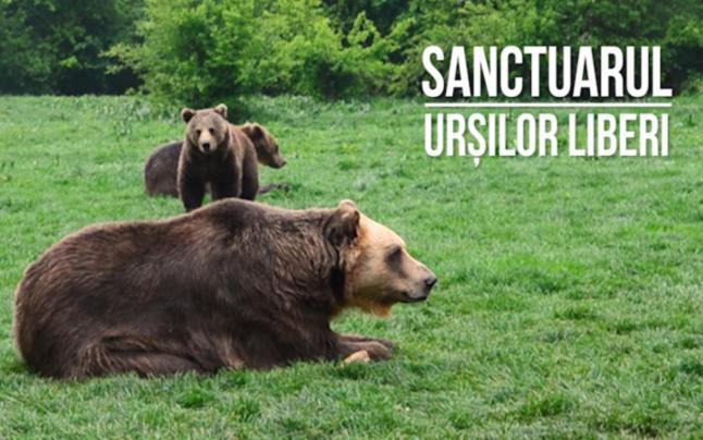 Panoramic Residence Zărneşti Eksteriør billede