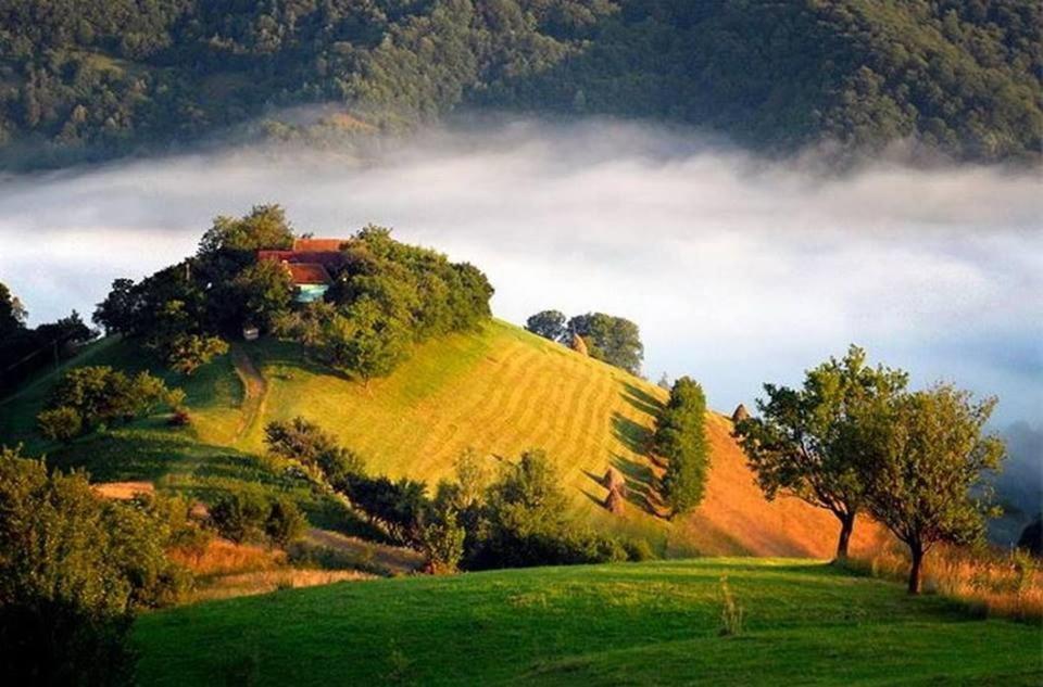 Panoramic Residence Zărneşti Eksteriør billede