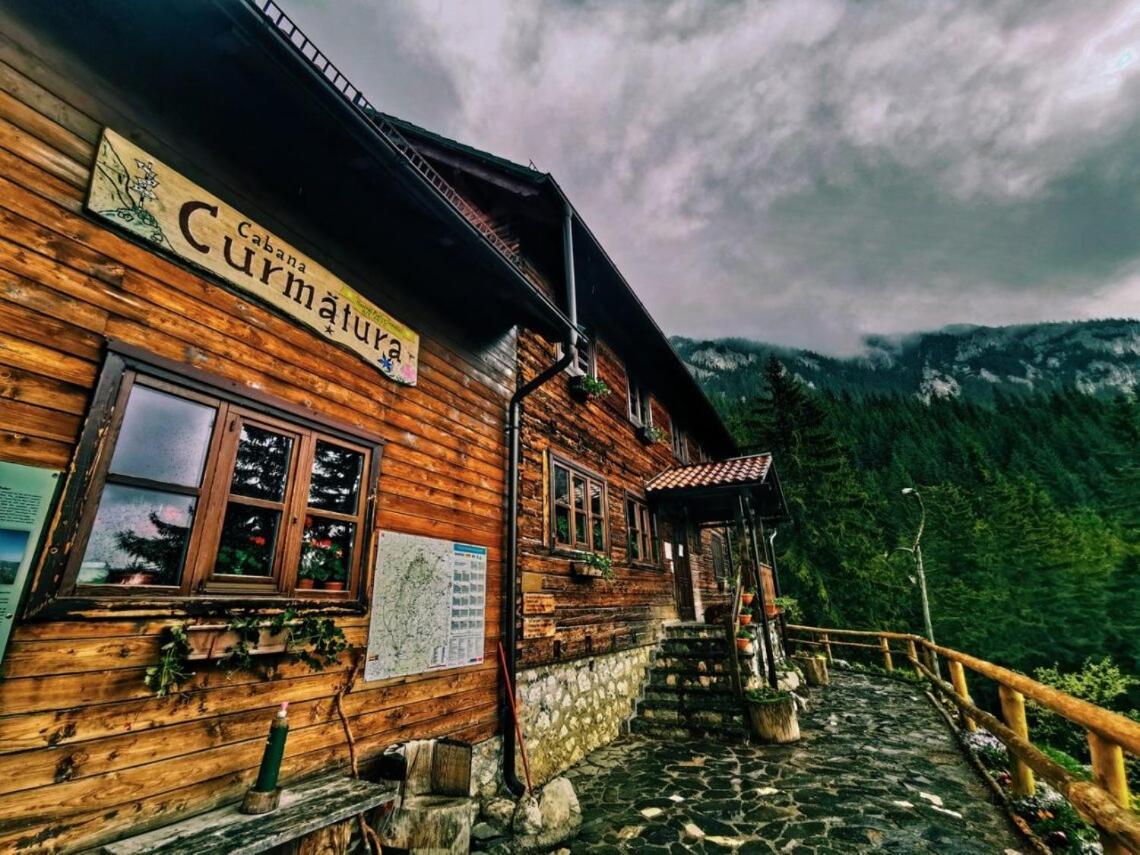 Panoramic Residence Zărneşti Eksteriør billede