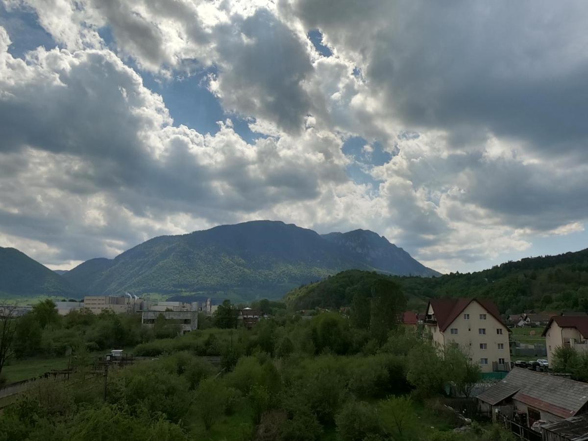 Panoramic Residence Zărneşti Eksteriør billede