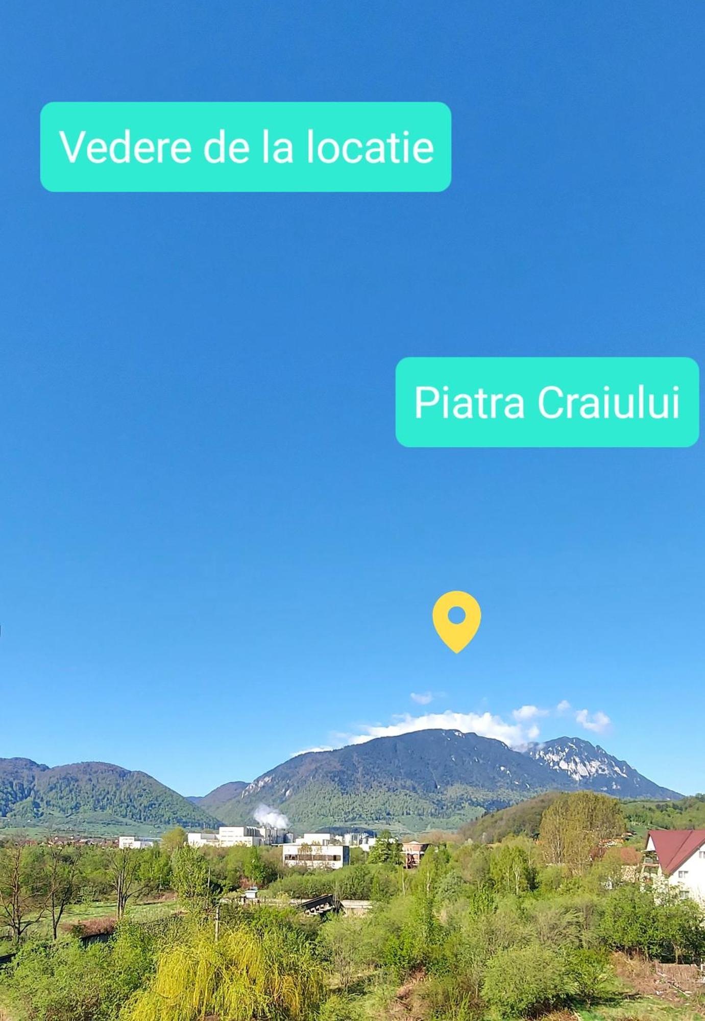 Panoramic Residence Zărneşti Eksteriør billede